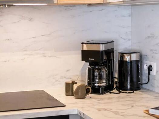 Wohnung zur Miete 703 € 1 Zimmer 45 m² Geschoss 2/4 frei ab sofort Altstadt Freiburg im Breisgau 79098