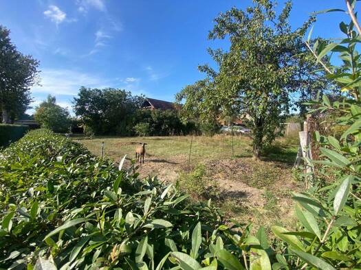 Grundstück zum Kauf 35.000 € 873 m² Grundstück Erknerstr. 13 Uthmöden 39345