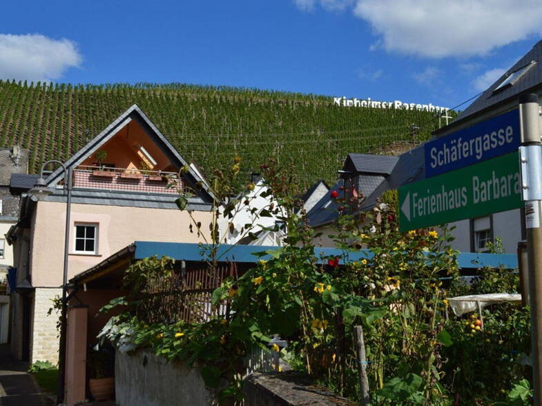 Einfamilienhaus zum Kauf provisionsfrei 239.000 € 5 Zimmer 120 m² 2.000 m² Grundstück Schäfergasse 2 Kinheim Rheinland-Pfalz - Kinheim 54538