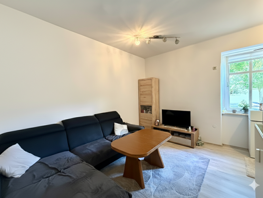 Wohnung zum Kauf 89.990 € 1 Zimmer 41 m² Kapfenberg 8605