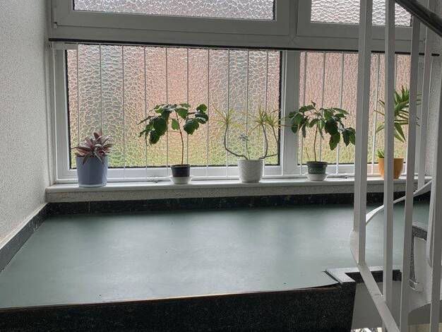Wohnung zum Kauf provisionsfrei 149.500 € 2,5 Zimmer 62,3 m² 1. Geschoss Reußkamp 15 b Moisling Moisling 23560