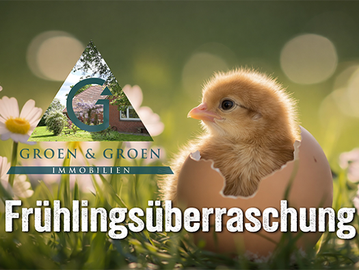 Bauernhaus zum Kauf 259.000 € 7 Zimmer 152,2 m² 1.753 m² Grundstück Boekzetelerfehn Moormerland 26802