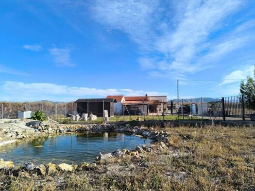 Villa zum Kauf 249.500 € 5 Zimmer 210 m² 8.000 m² Grundstück Villena 00000