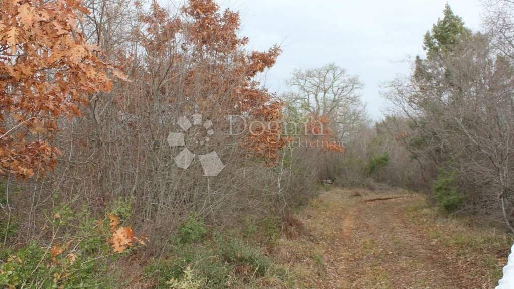 Land-/Forstwirtschaft zum Kauf 16.250 € Vodnjan