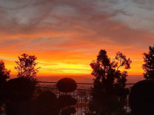 Penthouse zum Kauf 1.150.000 € 5,5 Zimmer 193,5 m² Weingarten 88250