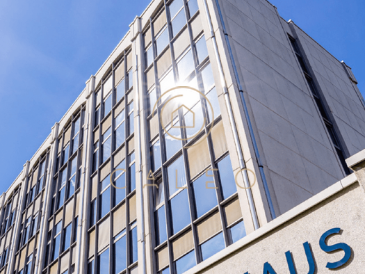 Bürofläche zur Miete provisionsfrei 11,40 € 4.237,9 m² Bürofläche teilbar ab 540 m² Niederrad Frankfurt am Main 60528