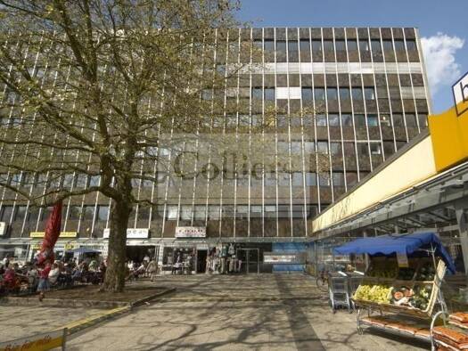 Büro zur Miete 17 € 294,5 m² Bürofläche teilbar ab 294,5 m² Hamburg 20259