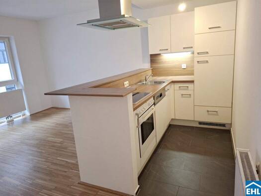 Wohnung zum Kauf 299.000 € 2 Zimmer 52,2 m² 1. Geschoss Wien 1120