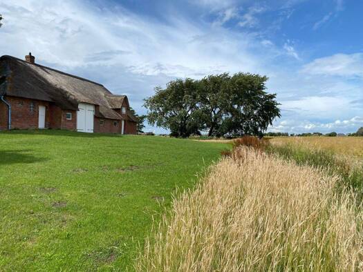 Haus zum Kauf 550.000 € 3 Zimmer 88 m² 5.000 m² Grundstück Rodenäs 25924