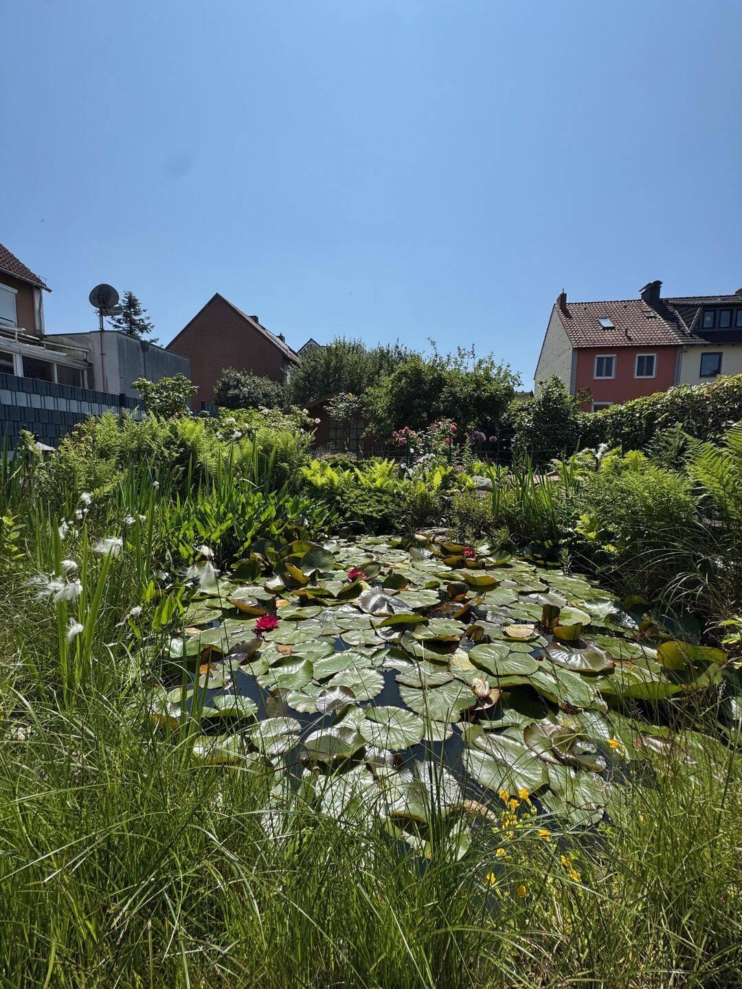 Property thumbnail 39