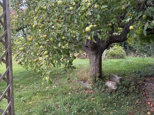 Grundstück zum Kauf 59.000 € 450 m² Grundstück Otterwisch 04668