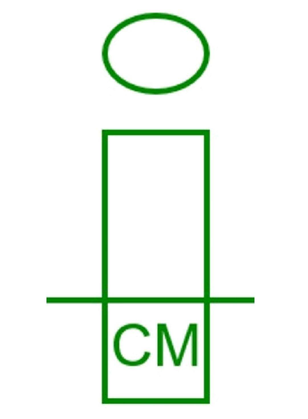ICM Immo-Consult und -Management GmbH