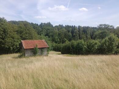 Land-/Forstwirtschaft zum Kauf 175.000 € 21.243 m² Grundstück Roßhart Edling 83533