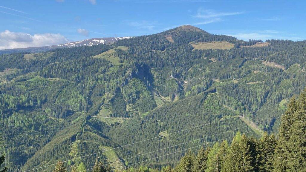 Forstwirtschaft zum Kauf 1.500.000 m² Grundstück Wolfsberg 9400