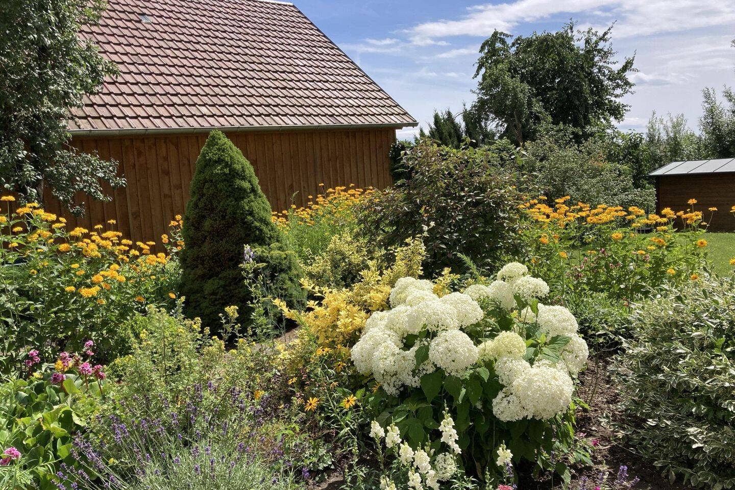 Mehrfamilienhaus zum Kauf - Ansicht 5