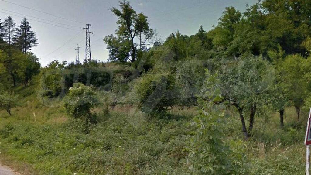 Grundstück zum Kauf 37.000 € Ribaritsa