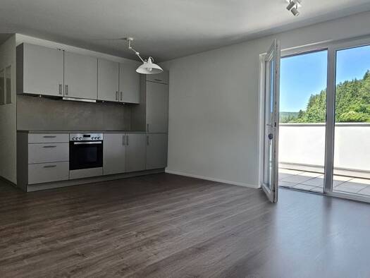 Wohnung zum Kauf 295.000 € 2 Zimmer 73 m² Niedereschach Niedereschach 78078