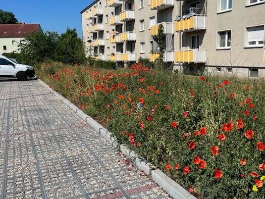 Wohnung zur Miete 420 € 3 Zimmer 58 m² frei ab sofort Schkopau Schkopau 06258