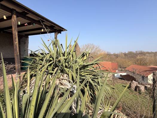 Einfamilienhaus zum Kauf 19.000 € 5 Zimmer 82,8 m² 970 m² Grundstück Schraplau 06279