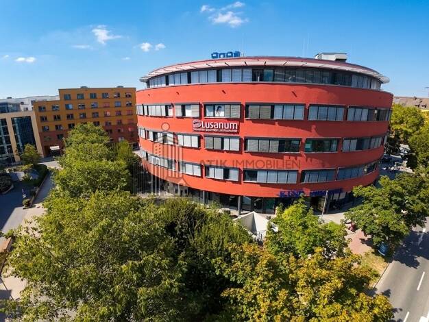Laden zur Miete provisionsfrei 17 € 155 m² Verkaufsfläche Mitte Ludwigshafen am Rhein 67061
