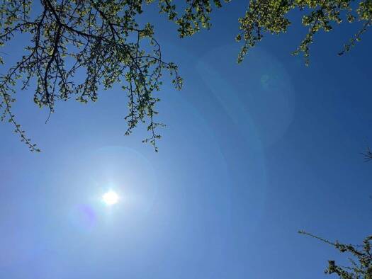 Grundstück zum Kauf 179.000 € 2.200 m² Grundstück frei ab sofort Oberbreisig Bad Breisig 53498