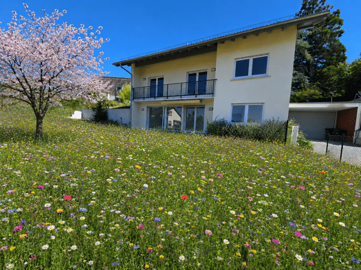 Einfamilienhaus zum Kauf 798.000 € 7 Zimmer 209 m² 980 m² Grundstück Windecken Nidderau 61130