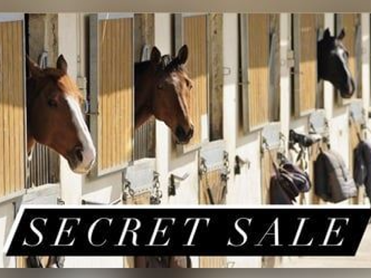 Haus zum Kauf 2.320.000 € 18 Zimmer 460 m² Heilbronn Heilbronn , Neckar 74076