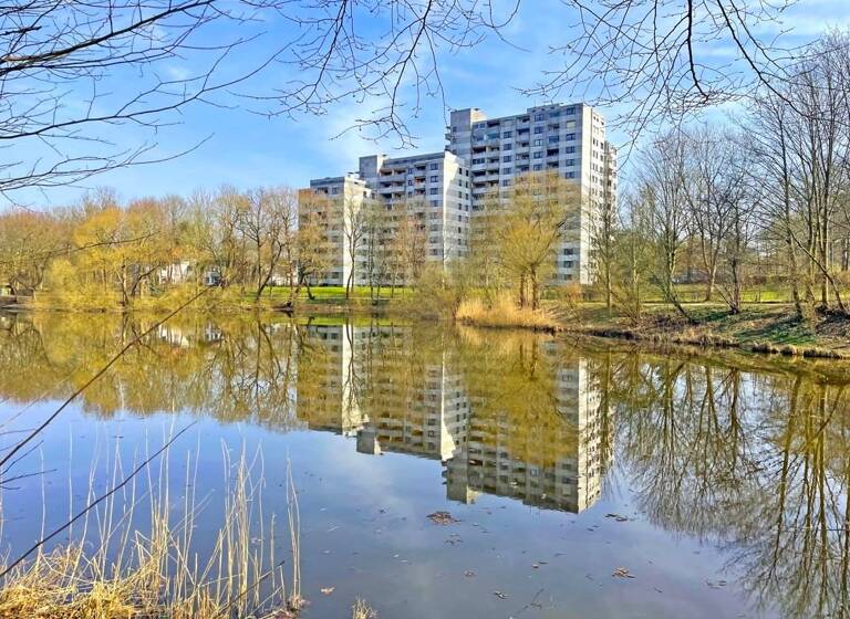 Wohnung zum Kauf 34.900 € 3 Zimmer 79,8 m²<br/>Wohnfläche 11.<br/>Geschoss Reinfeld 23858