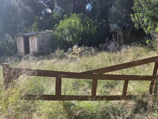 Acker-/Waldstück zum Kauf 67.000 € Cami De Son Dalmau, 2 Petra 07520
