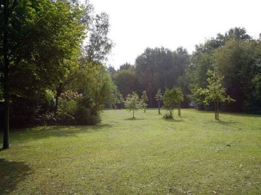 Wohnung zur Miete 375 € 1,5 Zimmer 39,6 m² 1. Geschoss frei ab 16.07.2026 Elbinger Kehre 14 Bramfeld Hamburg 22175