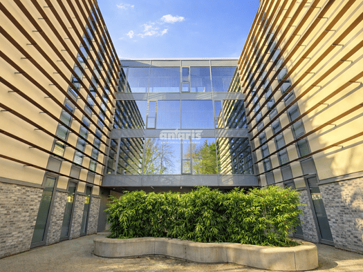 Bürofläche zur Miete 8 € 130 m² Bürofläche teilbar ab 130 m² Westvorstadt Weimar 99423