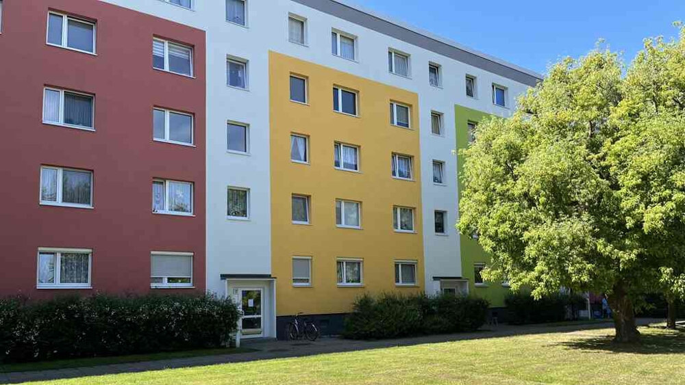 Wohnung zur Miete 305 € 1 Zimmer 50,3 m²<br/>Wohnfläche 5.<br/>Geschoss Jänschwalder Straße 14 Sachsendorf Cottbus 03048