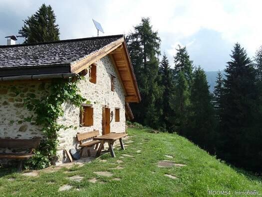 Bauernhaus zum Kauf 660.000 € 2 Zimmer 100 m² 9.000 m² Grundstück frei ab 01.10.2026 Ortise I-38020