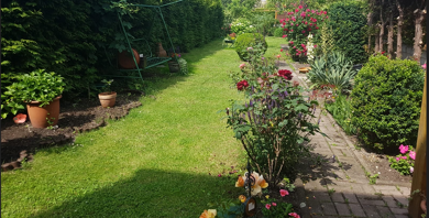 Mehrfamilienhaus zum Kauf 385.000 € 350 m² 378 m² Grundstück Ilversgehofen Erfurt 99086