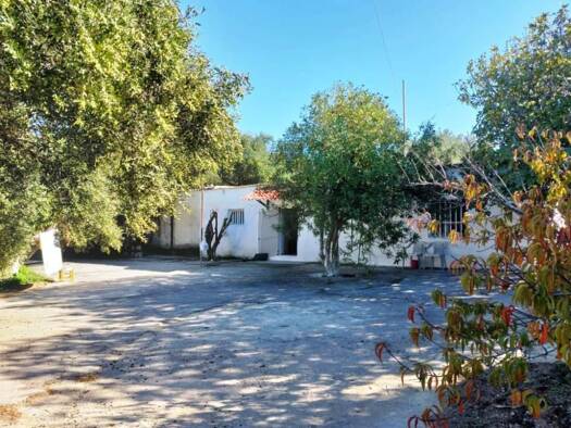Haus zum Kauf 140.000 € 4 Zimmer 70 m² 6.000 m² Grundstück Kreta Municipality of Sitia 720 59