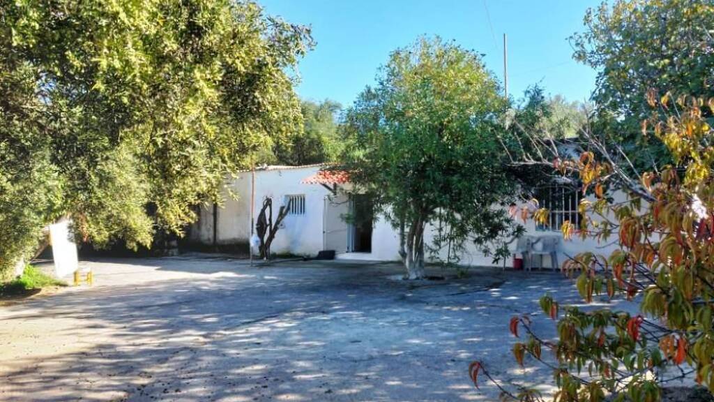 Haus zum Kauf 140.000 € 4 Zimmer 70 m² 6.000 m² Grundstück Kreta Pappagiannades 720 59