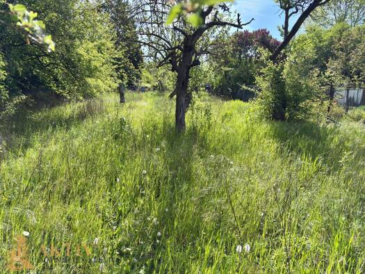 Freizeitgrundstück zur Miete provisionsfrei 1.200 m² Grundstück Rheinstraße 0 Offenbach am Main 63071