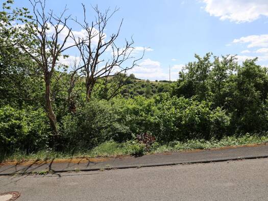 Grundstück zum Kauf 59.000 € 892 m² Grundstück Medenbach Breitscheid 35767