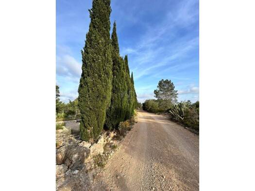 Acker-/Waldstück zum Kauf 85.000 € Tortosa 43500