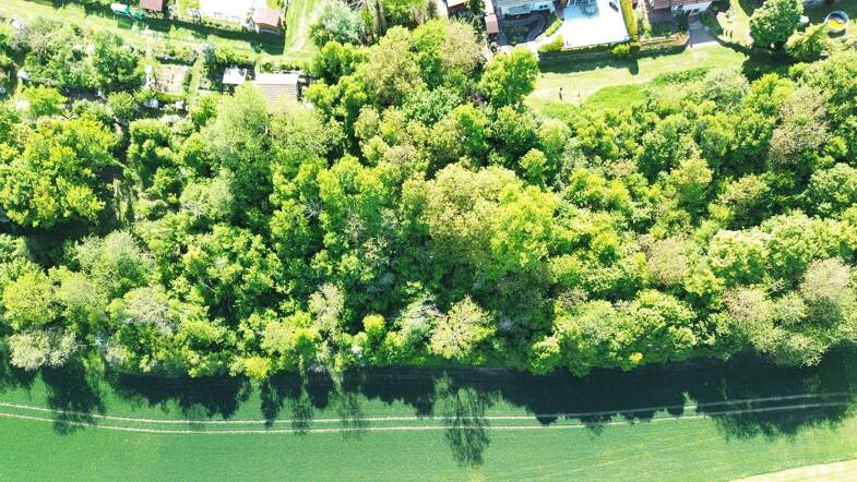 Land-/Forstwirtschaft zum Kauf provisionsfrei 1.569 m² Grundstück Widdern Widdern 74259