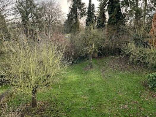 Wohnung zur Miete 995 € 3,5 Zimmer 95 m² Geschoss 1/2 frei ab 01.03.2026 Alfter 53347