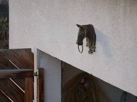 Einfamilienhaus zum Kauf 339.300 € 4 Zimmer 182 m² 7.140 m² Grundstück Sankt Michael im Burgenland 7535