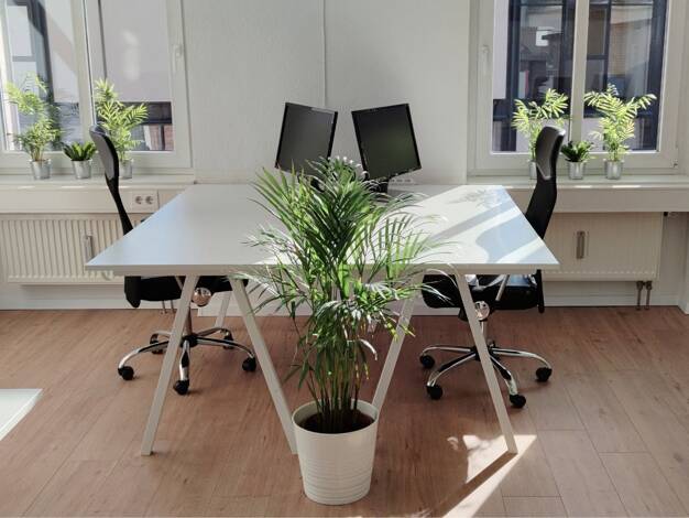 Bürofläche zur Miete provisionsfrei 25 m² Bürofläche Anger 9 Altstadt Erfurt 99084