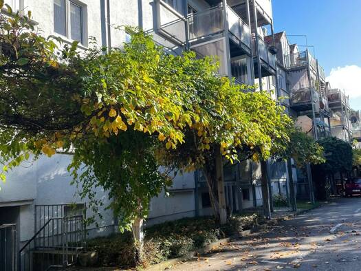 Wohnung zur Miete 725 € 3 Zimmer 58 m² Geschoss EG/3 frei ab 01.05.2026 Schellingstraße Lechhausen Augsburg 86167