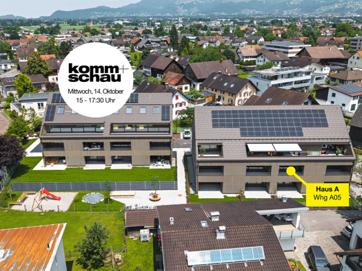 Terrassenwohnung zum Kauf - Erstbezug 375.000 € 2 Zimmer 50,4 m² Ringstraße 19 Feldkirch 6800