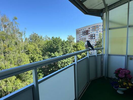 Wohnung zum Kauf provisionsfrei 69.000 € 4 Zimmer 76 m² Geschoss 5/5 Oststadt Neubrandenburg 17036