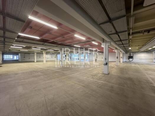Lagerhalle zur Miete provisionsfrei 3.160 m² Lagerfläche teilbar ab 3.160 m² Richrath Langenfeld 40764
