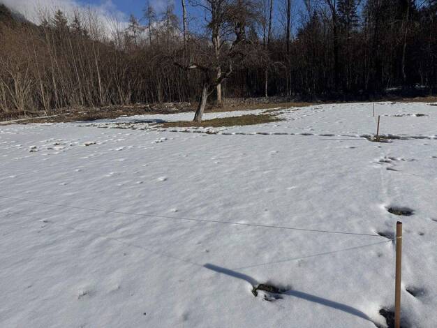 Grundstück zum Kauf provisionsfrei 454 m² Grundstück Grünsbach, 122 Münster 6232