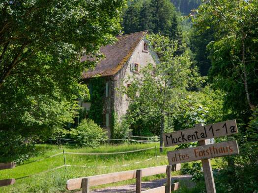 Immobilie zum Kauf provisionsfrei 789.000 € 5 Zimmer 145 m² 4.966 m² Grundstück frei ab sofort Nordweil Kenzingen 79341