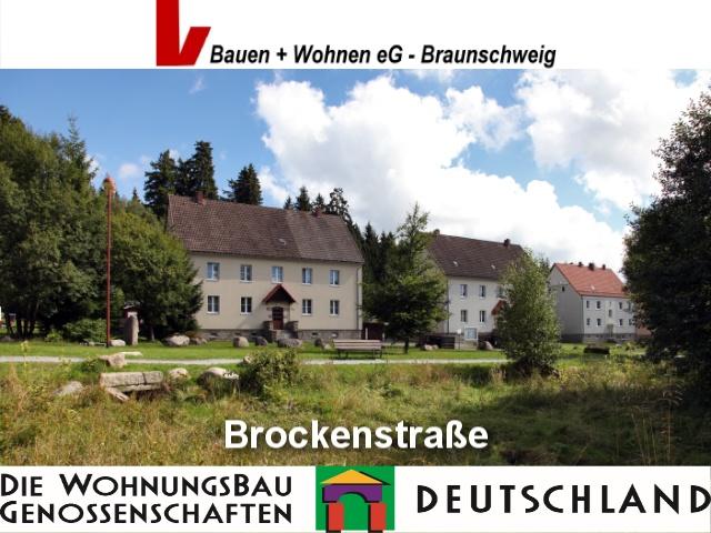 Wohnung zur Miete 264 € 2 Zimmer 50,2 m²<br/>Wohnfläche 2.<br/>Geschoss Brockenstr. 39 D Schierke Schierke 38879